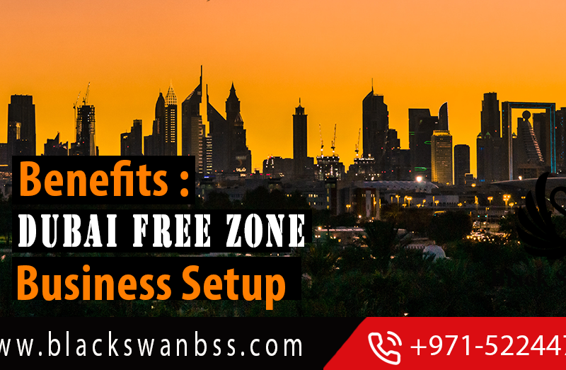 Benefits : Dubai Free Zone business setup