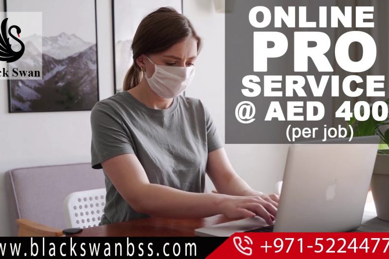 online pro service dubai