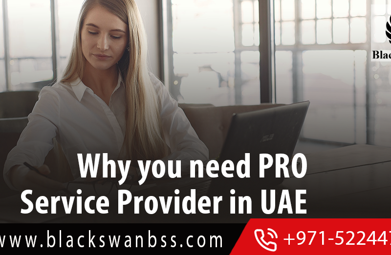 Why-you-need-Pro-service-provider-in-UAE