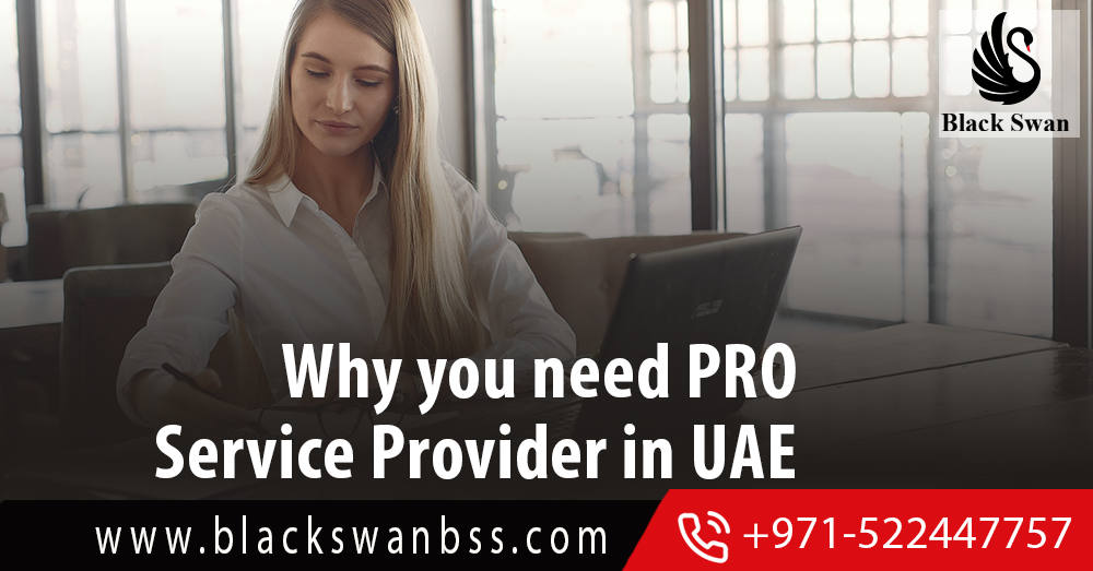Why-you-need-Pro-service-provider-in-UAE