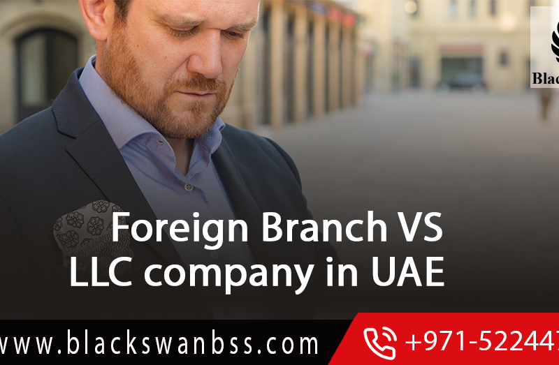 what-is-foreign-branch-limited-liability-company-in-uae-company-structures