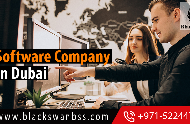 setup-software-company-in-dubai