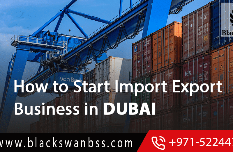 How to Start Import Export Business In Dubai