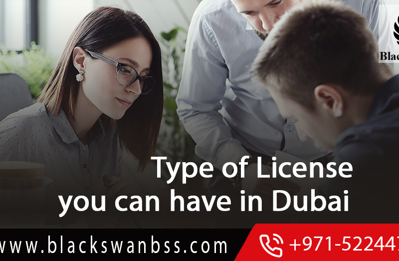 Type of License you can have in Dubai - UAE : Professional License or Commercial License