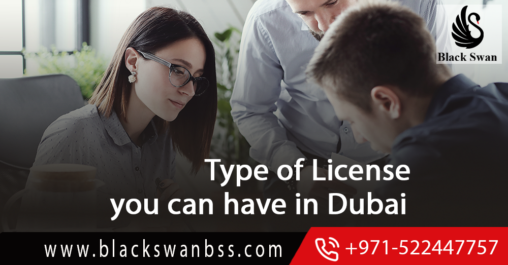 Type of License you can have in Dubai - UAE : Professional License or Commercial License