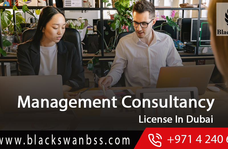 Management consultancy license in dubai